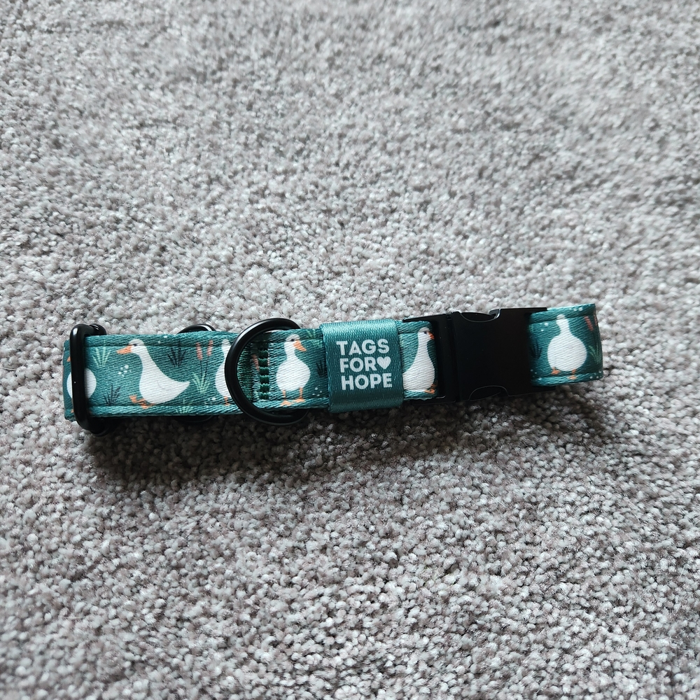 Tags for Hope Silly Goose Dog Collar